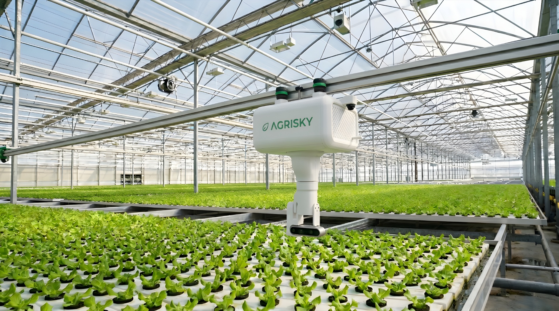 Scanner robotico AGRI-EYE su rail in una serra hi-tech, fascio multispettrale che illumina i filari di pomodoro