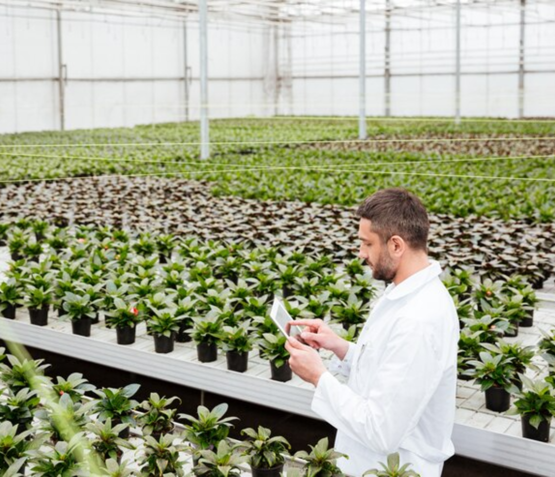 Monitoraggio agricolo AI